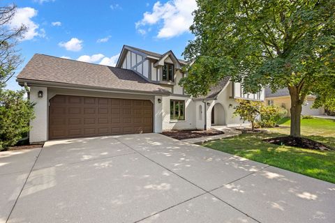 Tiny photo for 6209 Sleepy Hollow Lane, Lisle, IL 60532 (MLS # 12550091)