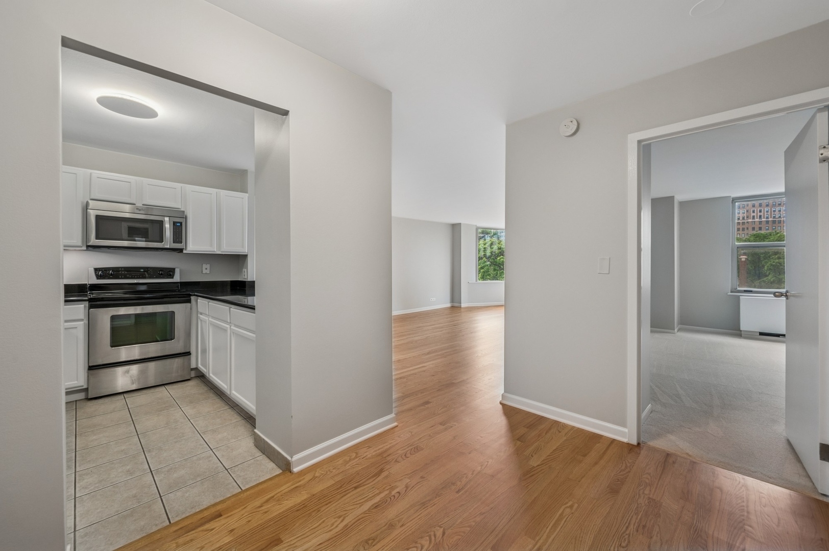 525 W Hawthorne Place 502