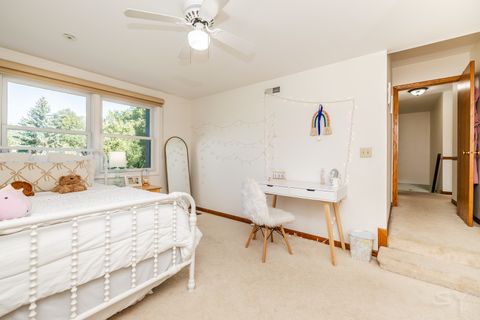 Tiny photo for 481 Pleasant Hill Road, Frankfort, IL 60423 (MLS # 12485817)