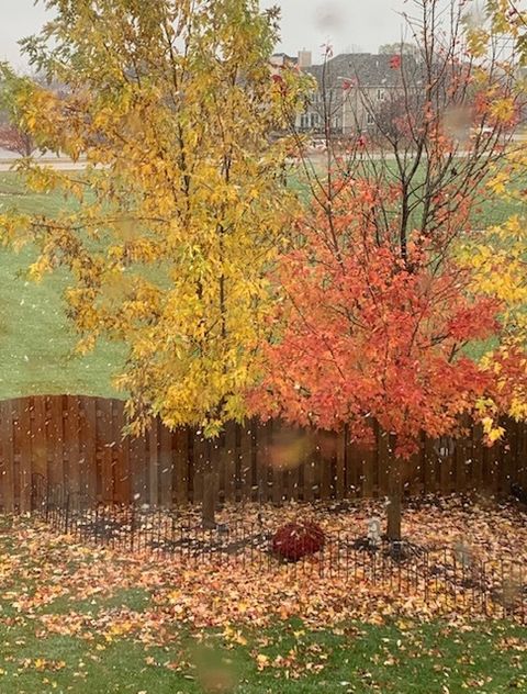 Tiny photo for 1616 STANTON Lane, Plainfield, IL 60586 (MLS # 12561213)