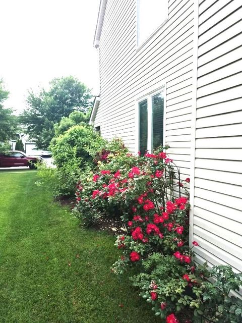 Tiny photo for 1616 STANTON Lane, Plainfield, IL 60586 (MLS # 12561213)