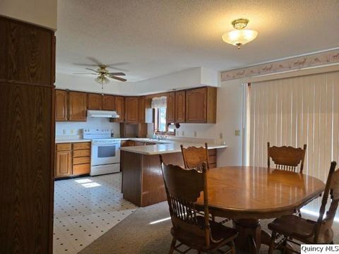 Tiny photo for 400 N 4th Street, Carthage, IL 62321 (MLS # 12435747)