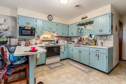 Tiny photo for 135 Ashwood Lane, Anna, IL 62906 (MLS # 12611262)