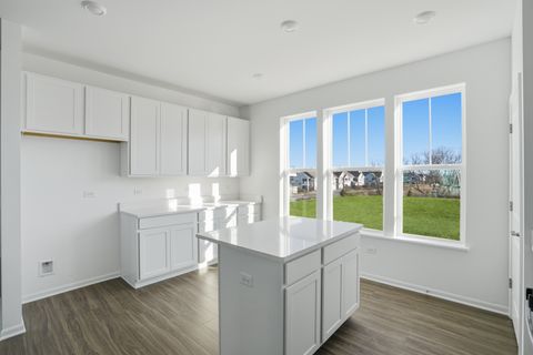 Tiny photo for 319 Settlers Place, West Dundee, IL 60118 (MLS # 12581335)