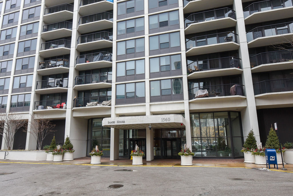 1560 N Sandburg Terrace 802J