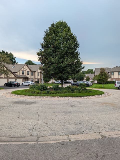 Tiny photo for 332 Essex Court #4, Wood Dale, IL 60191 (MLS # 12740052)