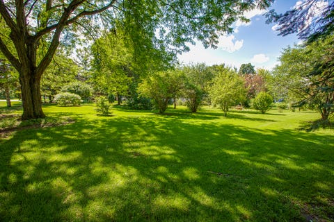 Tiny photo for 4N411 Trinity Lane, West Chicago, IL 60185 (MLS # 12703323)