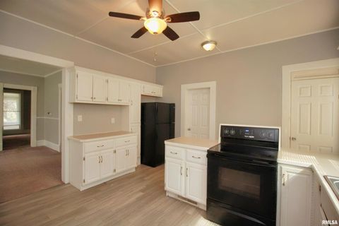 Tiny photo for 817 MARQUETTE Street, Davenport, IA 52802 (MLS # QC4269222)