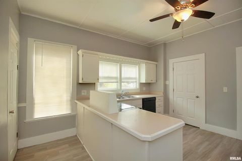 Tiny photo for 817 MARQUETTE Street, Davenport, IA 52802 (MLS # QC4269222)