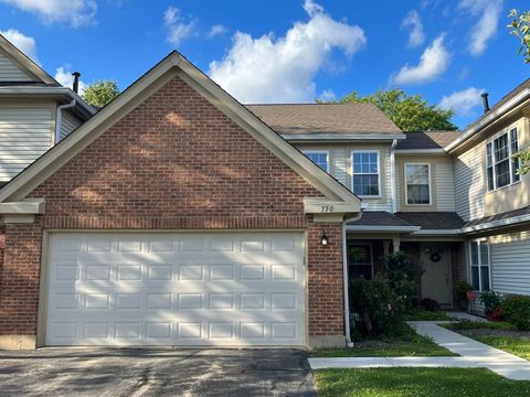 Photo of 150 White Branch Court N, Schaumburg, IL 60194 (MLS # 12488399)