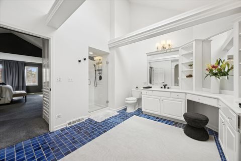 Tiny photo for 245 Meadowbrook Lane, Hinsdale, IL 60521 (MLS # 12509702)