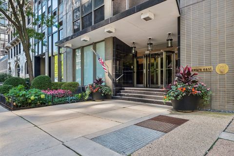 Tiny photo for 253 E Delaware Place #20G-E, Chicago, IL 60611 (MLS # 12471890)