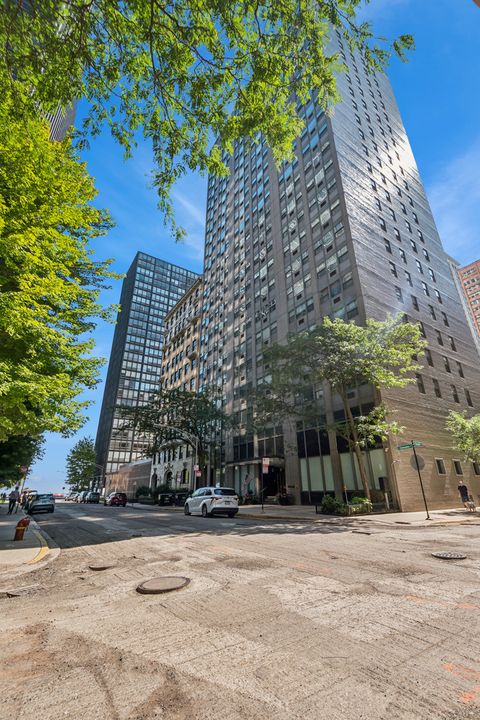 Photo of 253 E Delaware Place #20G-E, Chicago, IL 60611 (MLS # 12471890)