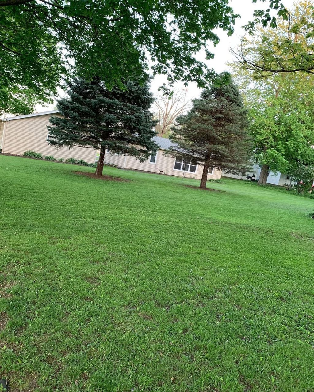 listing image 48