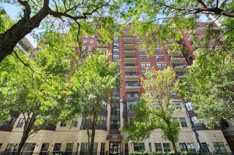 1250 S Indiana Avenue 1201 Chicago IL 60605