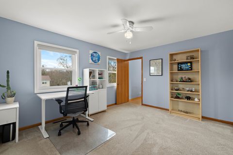 Tiny photo for 913 N FRANKLIN Avenue, Palatine, IL 60067 (MLS # 12582976)