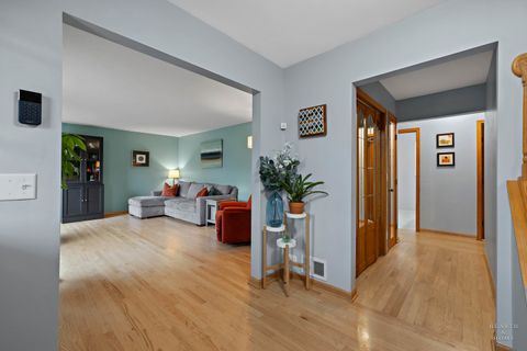 Tiny photo for 913 N FRANKLIN Avenue, Palatine, IL 60067 (MLS # 12582976)