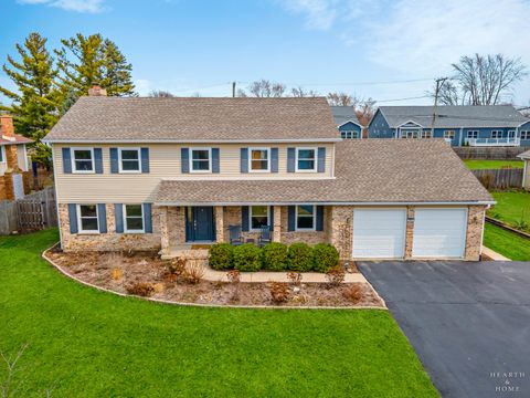 913 N FRANKLIN Avenue Palatine IL 60067