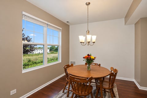 Tiny photo for 667 Anchorage Court, Pingree Grove, IL 60140 (MLS # 12773351)