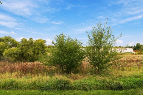Tiny photo for 667 Anchorage Court, Pingree Grove, IL 60140 (MLS # 12773351)