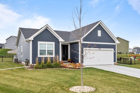 725 CLOVERLEAF Drive Marengo IL 60152