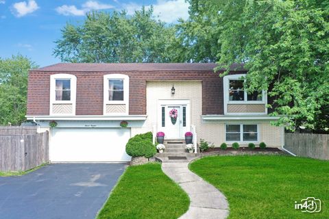 1113 N Smith Street Palatine IL 60067