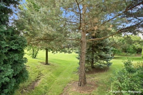 Tiny photo for 827 Stonebridge Lane, Crystal Lake, IL 60014 (MLS # 12696543)