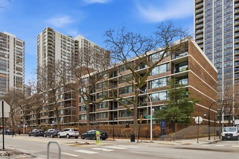 1555 N Sandburg Terrace 217K Chicago IL 60610