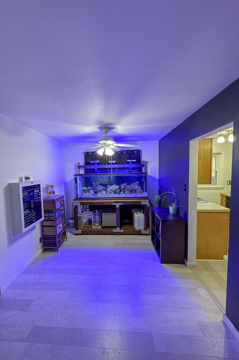 Tiny photo for 1709 W William Street, Champaign, IL 61821 (MLS # 12524305)