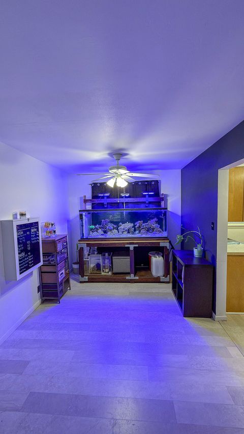 Tiny photo for 1709 W William Street, Champaign, IL 61821 (MLS # 12524305)