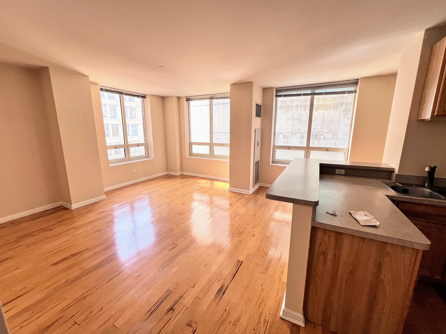 1111 S WABASH Avenue 705