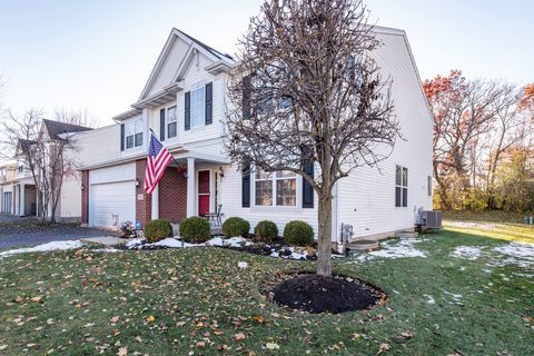 39128 N Ogden Lane Beach Park IL 60083