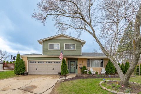 333 Bramble Lane Schaumburg IL 60193