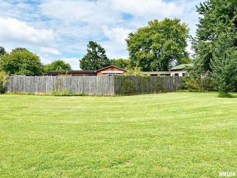 Tiny photo for 2516 STRAWBERRY Road, Metropolis, IL 62960 (MLS # EB459396)