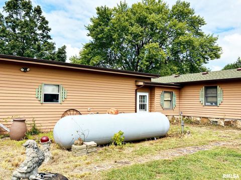 Tiny photo for 2516 STRAWBERRY Road, Metropolis, IL 62960 (MLS # EB459396)