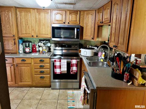 Tiny photo for 2516 STRAWBERRY Road, Metropolis, IL 62960 (MLS # EB459396)
