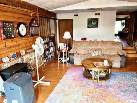 Tiny photo for 2516 STRAWBERRY Road, Metropolis, IL 62960 (MLS # EB459396)