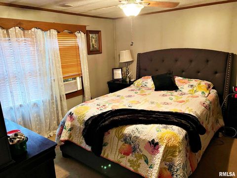 Tiny photo for 2516 STRAWBERRY Road, Metropolis, IL 62960 (MLS # EB459396)