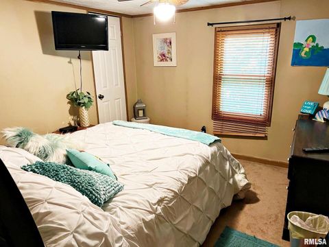 Tiny photo for 2516 STRAWBERRY Road, Metropolis, IL 62960 (MLS # EB459396)