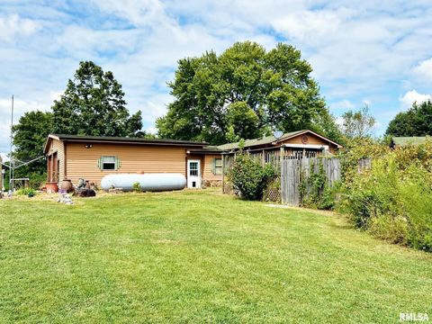 Tiny photo for 2516 STRAWBERRY Road, Metropolis, IL 62960 (MLS # EB459396)