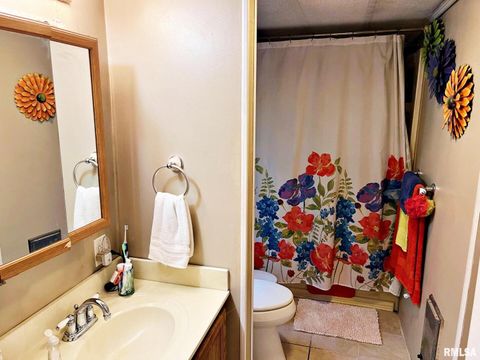 Tiny photo for 2516 STRAWBERRY Road, Metropolis, IL 62960 (MLS # EB459396)