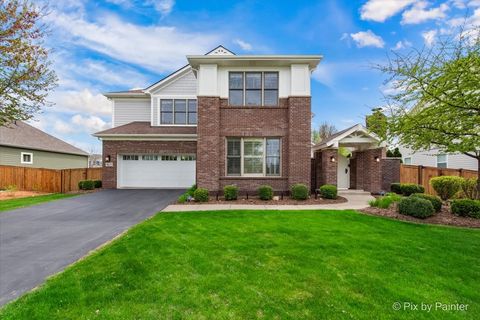 3633 Fewflower Court Elgin IL 60124