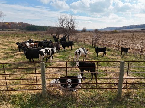 Tiny photo for 6977 S Elmoville Road, Stockton, IL 61085 (MLS # 12506976)