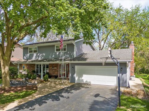 1552 Chat Court Naperville IL 60565