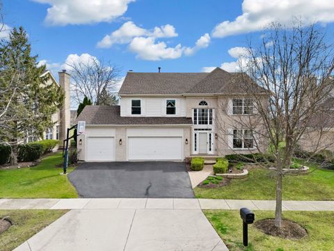 1353 Maidstone Drive Vernon Hills IL 60061