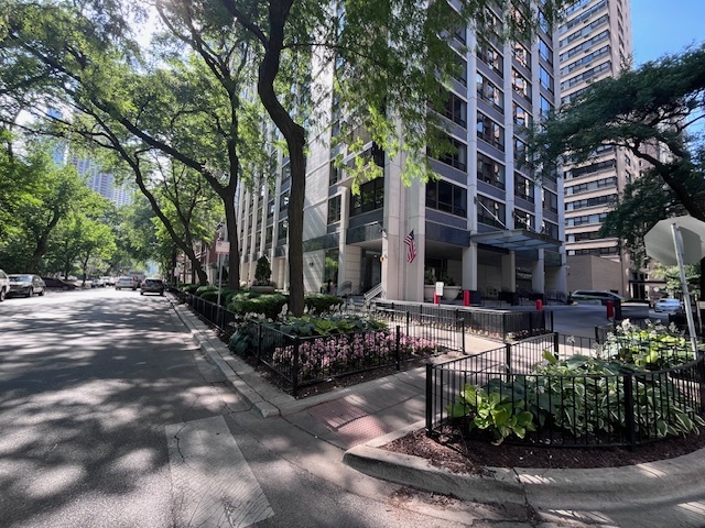 222 E Pearson Street 905