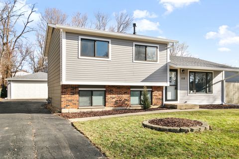 118 Springleaf Drive Bolingbrook IL 60440