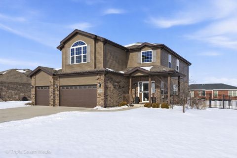 Photo of 16256 W Pinto Lane, Manhattan, IL 60442 (MLS # 12562630)