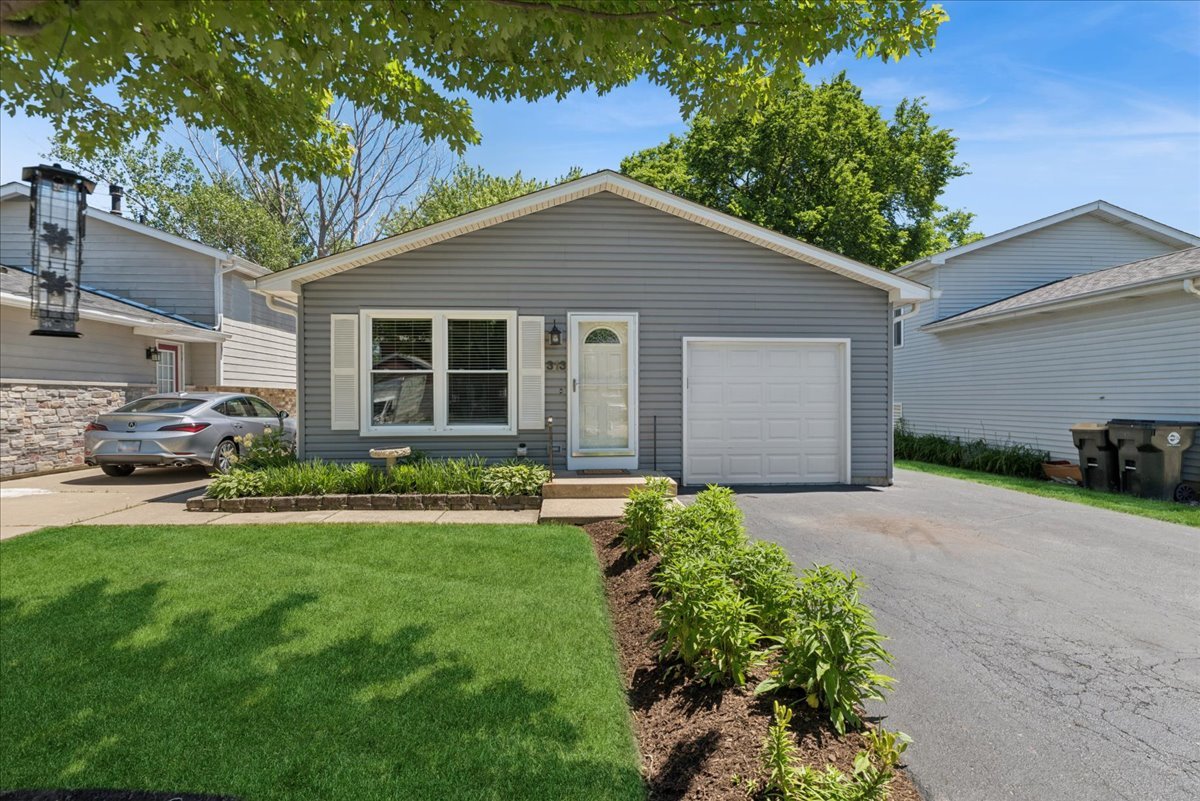 313 Maple Lane