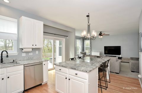 Tiny photo for 4560 Mackinac Street, Lake In The Hills, IL 60156 (MLS # 12620974)